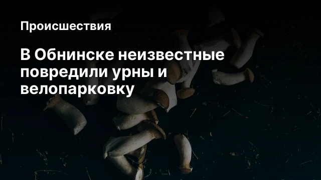 В Обнинске неизвестные повредили урны и велопарковку В Обнинске неизвестные повредили урны и велопарковку