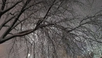 В Калуге прогнозируют снегопад