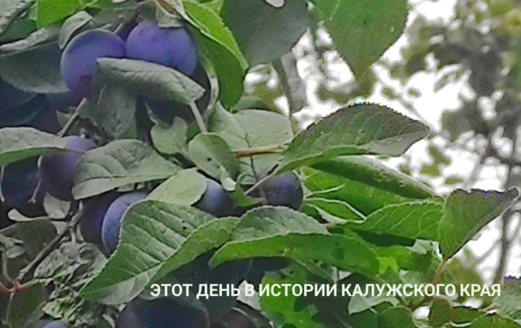 Непогода и технический сбой могут оставить калужан без подарков: этот день в истории региона