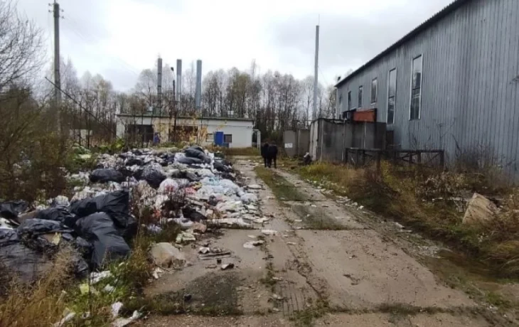 Антисанитария зафиксирована на двух калужских молочных предприятиях
