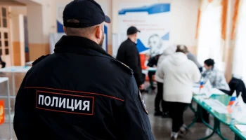 В Тарусе мужчина вырубил 44 дерева для удобной рыбалки