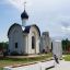 Барсуки