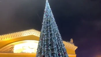 Елки в Калуге начнут демонтировать с 20 января