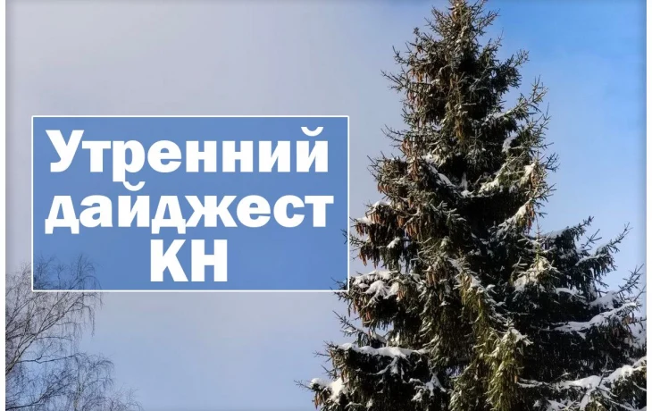 События, факты, мнения: Рождество, меры за сосульки и массовые переломы с отравлениями
