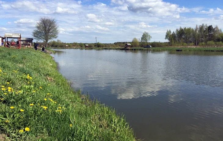 Мандрино Мандрино