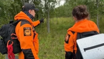 Главное &ndash; не паниковать. Поисковики Калужской области ищут пропавших жителей