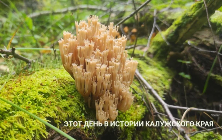 Двух рабочих насмерть придавило ковшом в Калужской области: этот день в истории региона