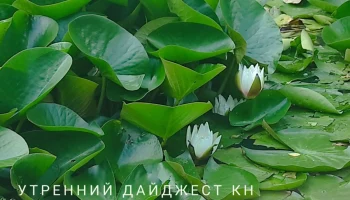 В Калужской области вынесли приговор &laquo;семейной&raquo; банде, похитившей 8-летнюю Злату: этот день в истори