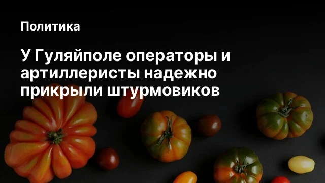 У Гуляйполе операторы и артиллеристы надежно прикрыли штурмовиков У Гуляйполе операторы и артиллеристы надежно прикрыли штурмовиков