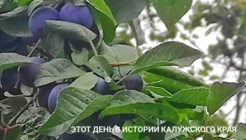 Путин присвоил городу у космодрома Восточный имя Циолковский: этот день в истории Калужской области
