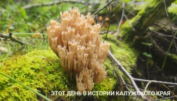&laquo;Подвиги&raquo; банды подростков в Калужской области попали на федеральный телеканал: этот день в истории 