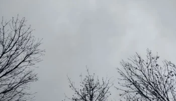 Пять БПЛА уничтожено над Калужской областью в ночь на 11 декабря