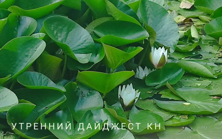 В Калужской области вынесли приговор &laquo;семейной&raquo; банде, похитившей 8-летнюю Злату: этот день в истори